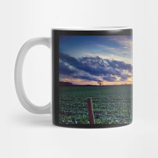 Everyday Wonders Mug